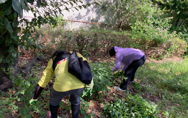 ボランティア活動への参加