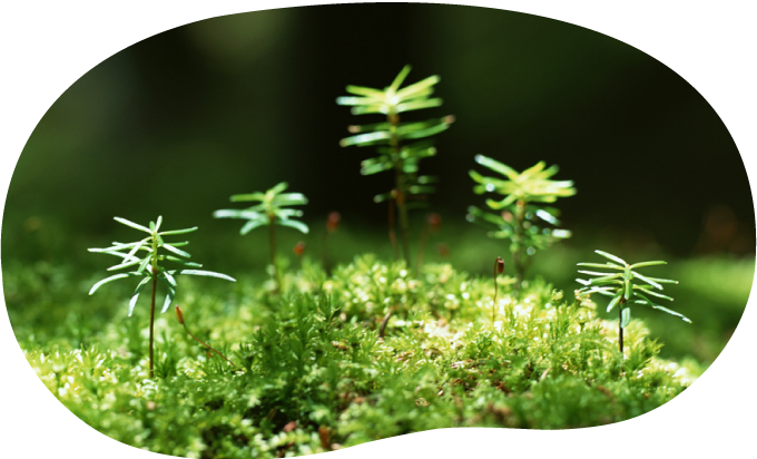 環境理念・環境方針